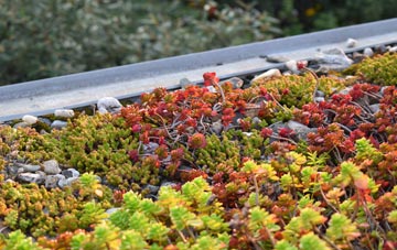the cost of Tredown green roof installation