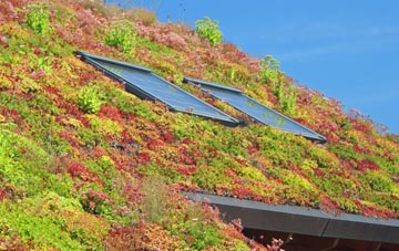Tredown living roof systems