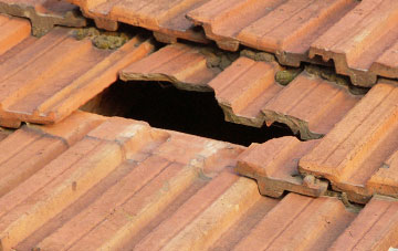 roof repair Tredown, Devon